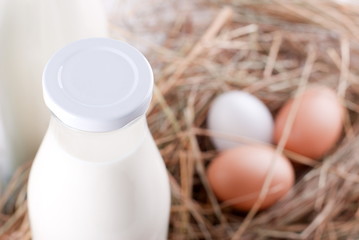 milk and eggs on rustic