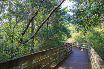 Bird area of Houston Arboretum Nature Center
