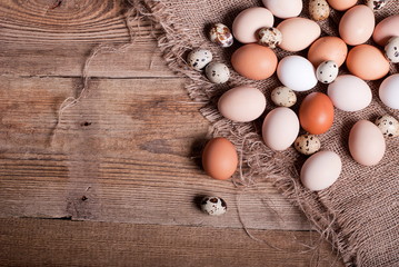 chicken and quail eggs