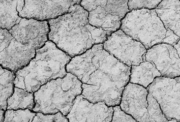 texture soil Cracked arid  pattern for background.