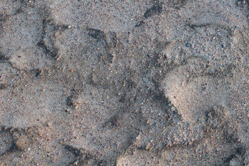Surface of the old gray stone background
