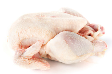 Raw chicken