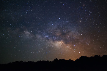 Naklejka premium Milky Way Galaxy and Silhouette of Tree.Long exposure photograph
