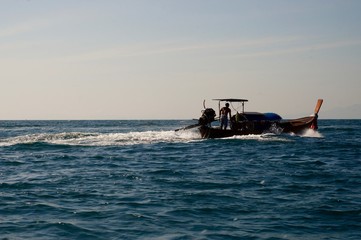 Obraz premium Longtail