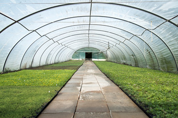 Gärtnerei, Zentralperspektive