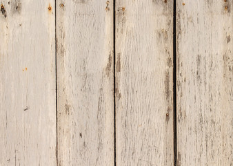 wood texture. background old panels