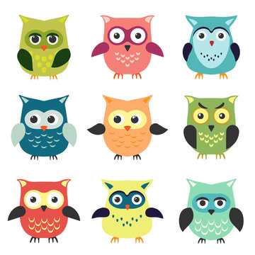 The set of owls in cartoon style
