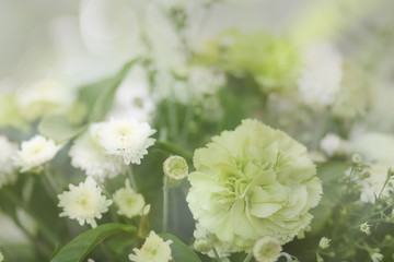 Spring blossom background abstract floral, green leaves and whit