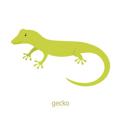 Gecko. Cartoon character.