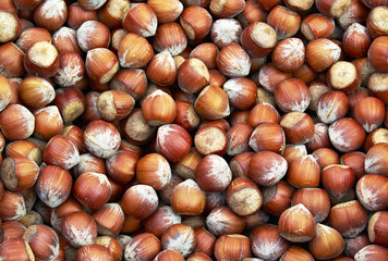 Hazelnuts