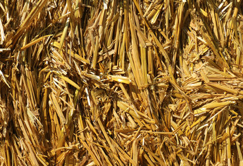  straw pattern, background