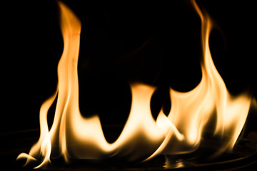 Flame in The Dark