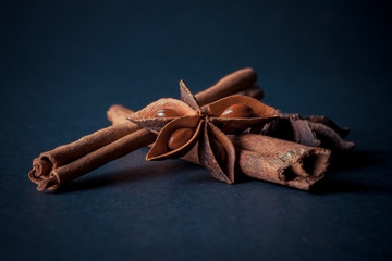 cinnamon sticks with filter effect retro vintage style