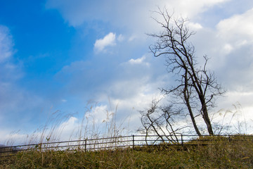 Obraz premium Winter Sky of Nikko Highland, Japan