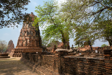 Beautiful ancient site in Wat Maha That Ayutthaya as a world heritage site, Thailand