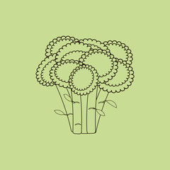 Broccoli Vegetable Icon