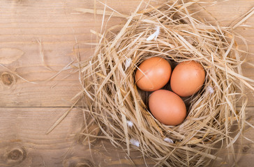 Nest on wooden background