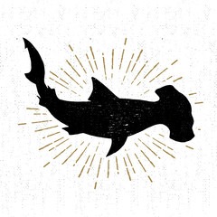 Hand drawn textured icon with hammerhead shark vector illustration. - obrazy, fototapety, plakaty