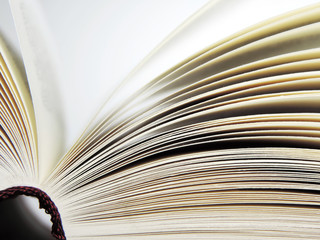 Open book, close up shot of book pages.