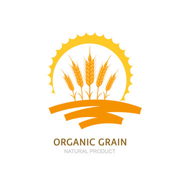 Wheat, barley, or rye ears, field and sun. Vector logo, label, package design elements. Concept for agriculture, organic cereal products, harvesting grain and farming. Healthy food symbol.
