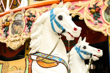 Fototapeta na wymiar Weißes Pferd auf Karussell 