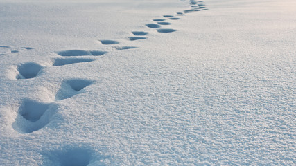 Fototapeta premium Deep footprints in the snow, snowdrift texture background, winter background