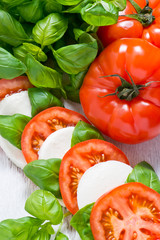 Caprese salad with mozarella cheese, tomatoes and basil
