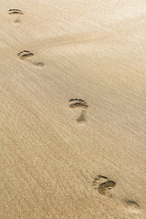 Footmarks on the golden sandy beach