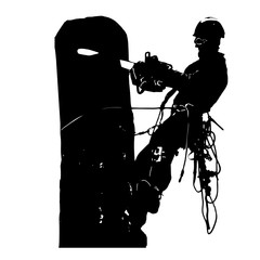 Arborist saws birch chainsaw at height