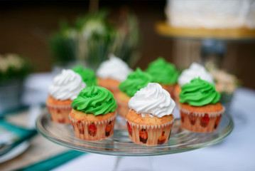 Colorful cupcakes 