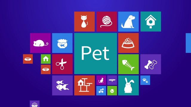 Trendy computer or mobile application app program animation of flat pet animal and accessories object icon menu in colorful geometric square block window background with header text in 4k ultra hd