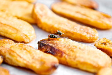 Fly swarm around fry food exposed to sunlight. Files disease risk. Close up and macro.
