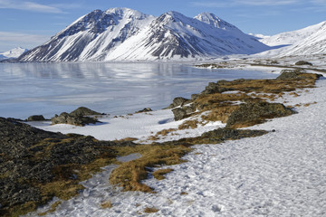 Paysage des fjords de l'Est islandais