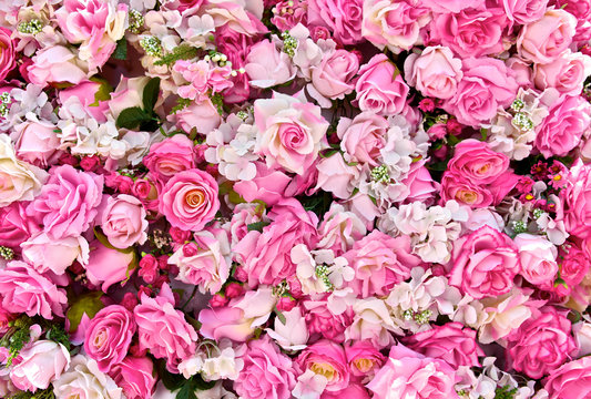 Pink rose background. Roses flower bouquet. For lover or sweetheart of Valentine's Day. Top view. Close up.