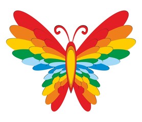 Bright color butterfly.