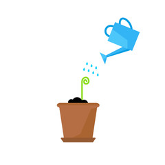 Timeline infographic of planting tree process