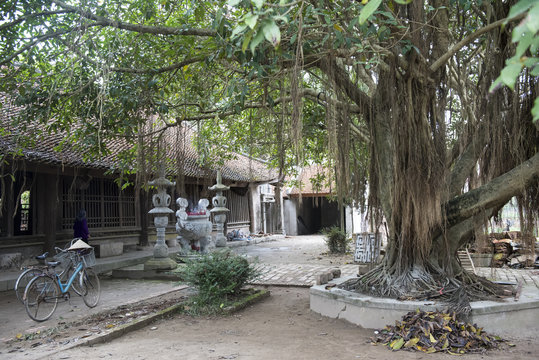 Tranquil courtyard of But Thap Buddhist Temple, Vietnam