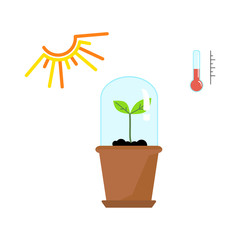 Timeline infographic of planting tree process