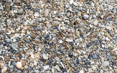 The pebbles on the beach. it is a natural background