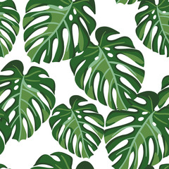 Monstera palm leaves on the white background. Vector seamless pattern with tropical plant. Tropical jungle foliage.