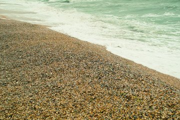 Seashells on the beach