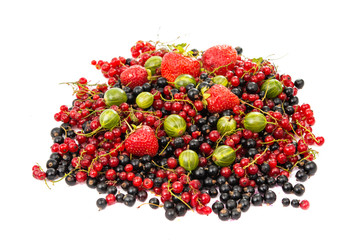 fruits: raspberries, gooseberries, currants, strawberries