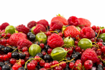 fruits: raspberries, gooseberries, currants, strawberries