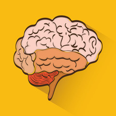 Thinking and brain design