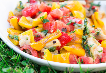 Grilled vegetables salad 