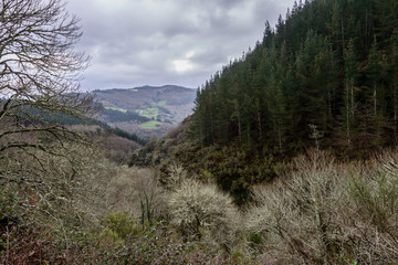 Obraz premium Fervenza de Vilagocende, A Fonsagrada, Lugo