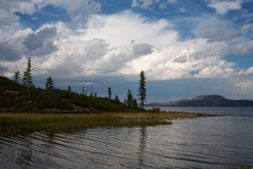 Fototapeta na wymiar Big lake, on the shores of larch and white cloud. Lake Labynkyr. Yakutia. Russia.