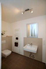 Kleines renoviertes Badezimer ( barrierefrei)