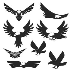 Set of the eagles icons and logo templates.