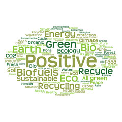 Conceptual ecology word cloud isolated